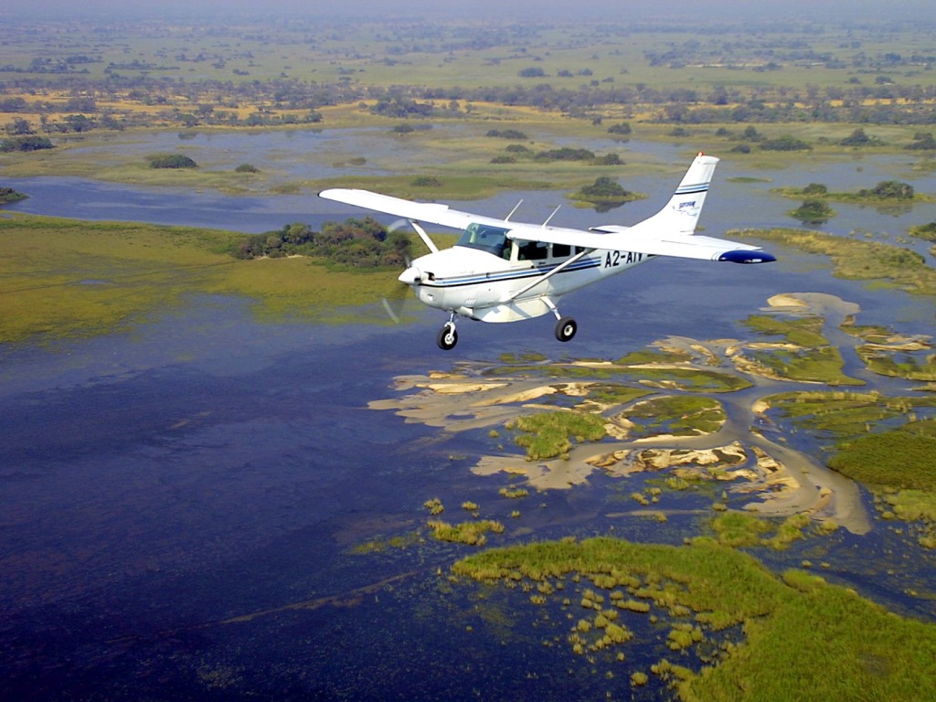 FLY-IN-SAFARI