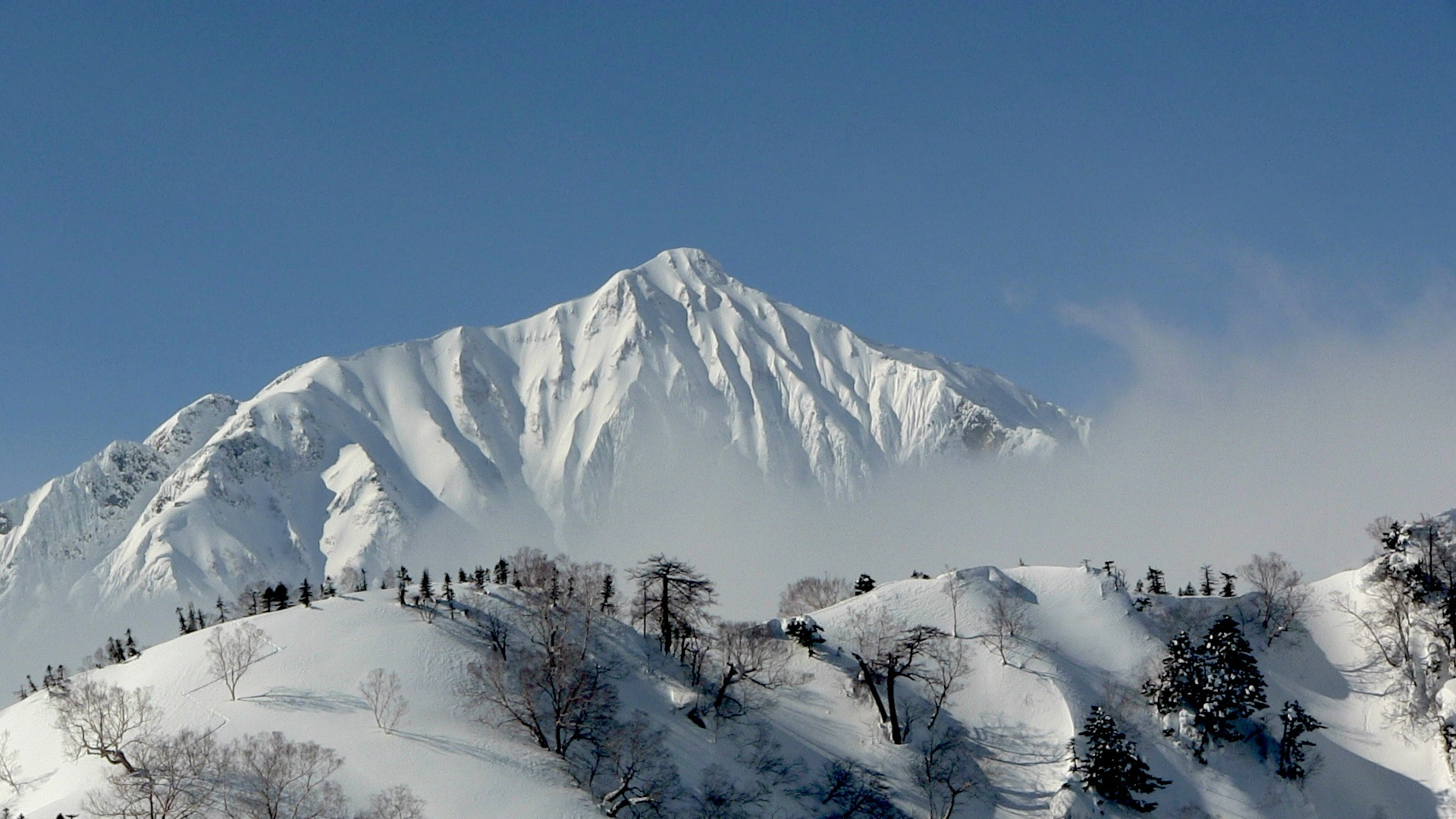 hakuba 1